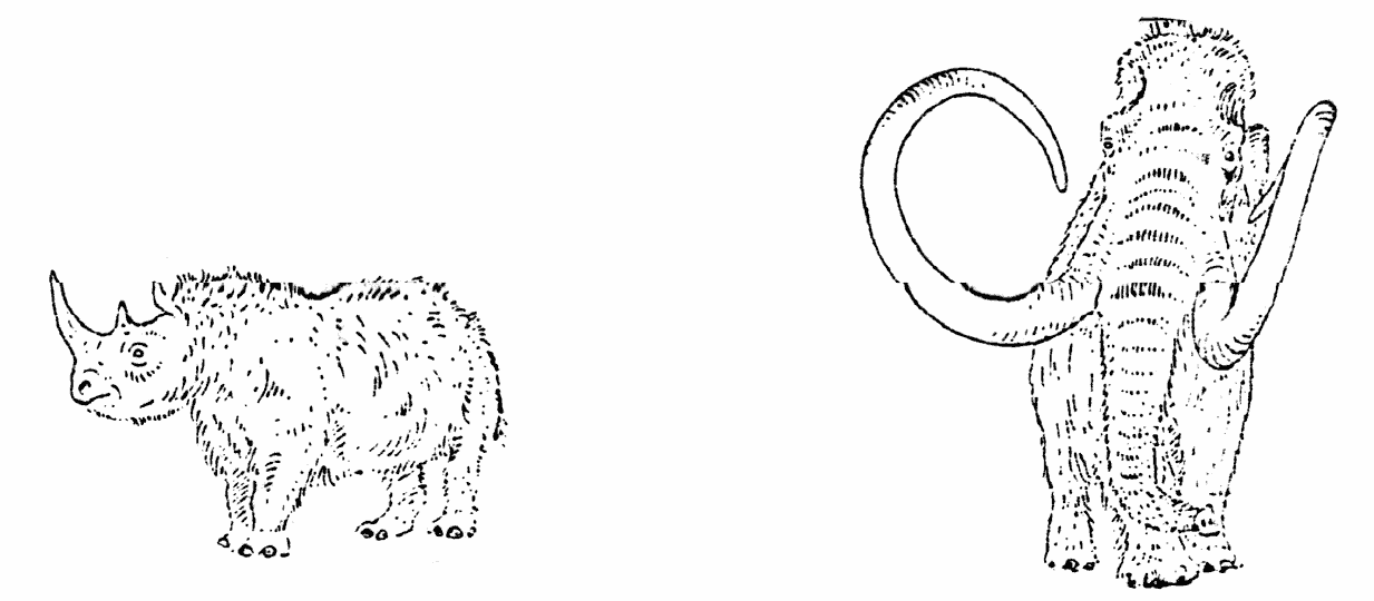 HB10_184_klein