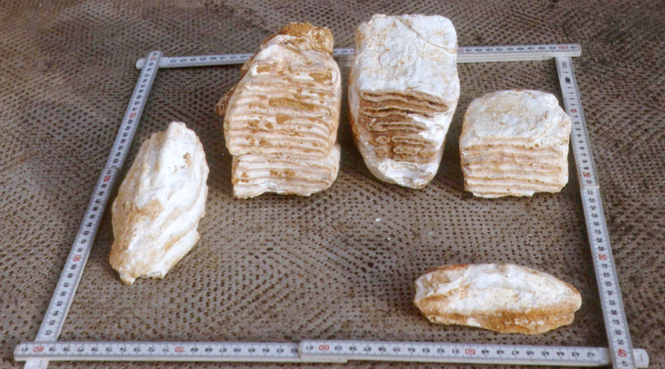 HB10_184b_klein